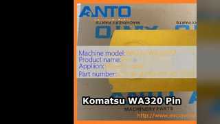 Pezzo di ricambio perno Komatsu WA320 419 46 41190