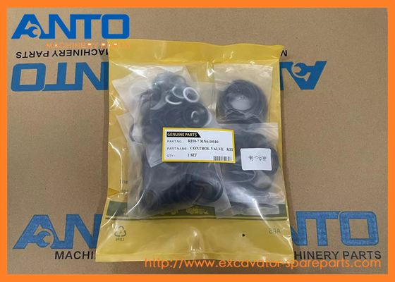 31N6-10110 Seal Kit HYUNDAI Parti di ricambio per escavatori per R210LC7 RC215C7