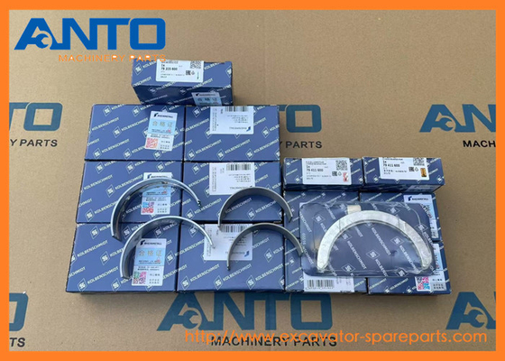 22967564 79315600 Cuscinetto principale KOMATSU Ricambi per escavatori EC160C EC180C